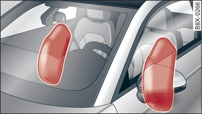 Side airbags in inflated condition